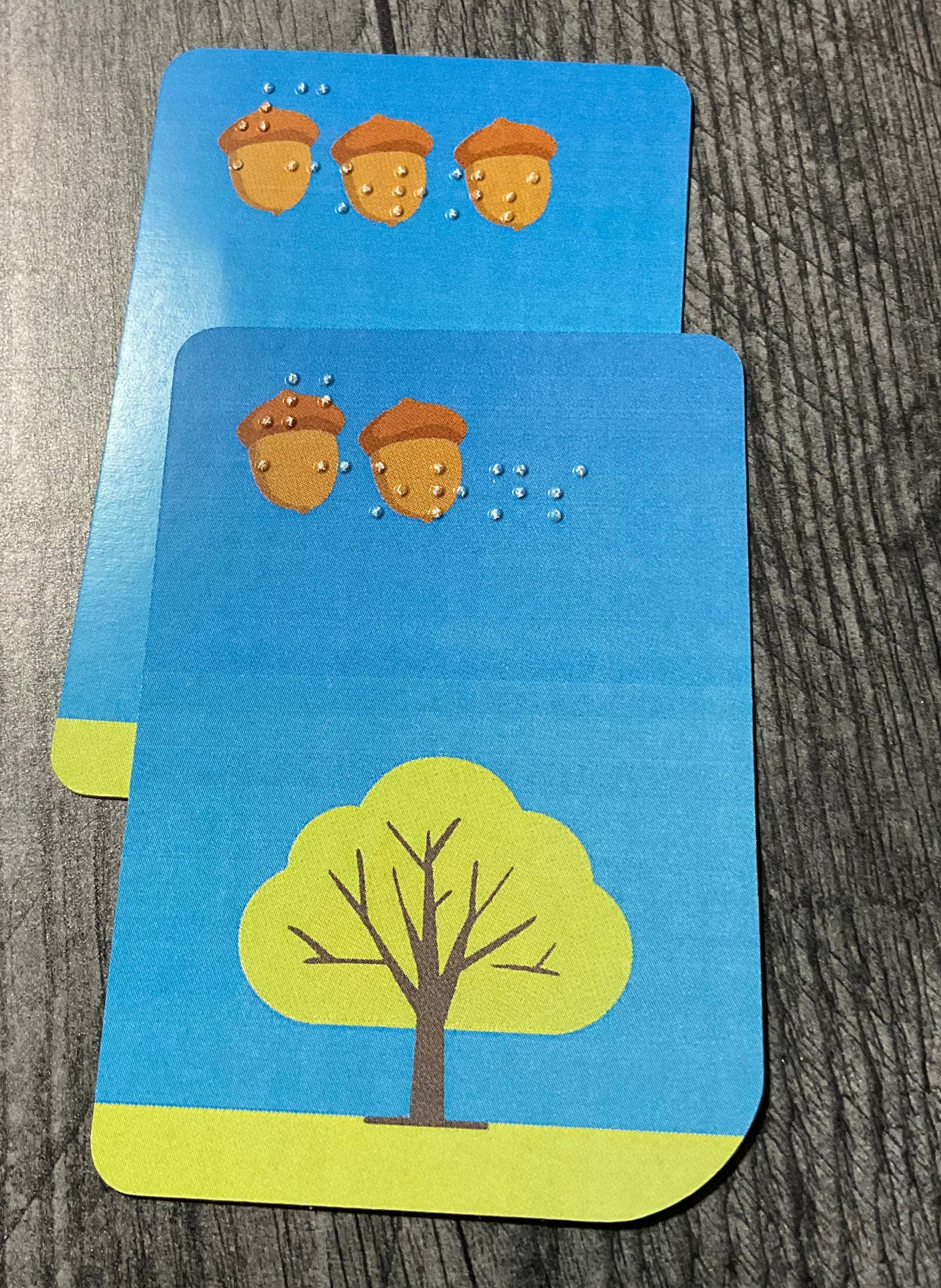 A pile of collected acorn cards in front of a player.