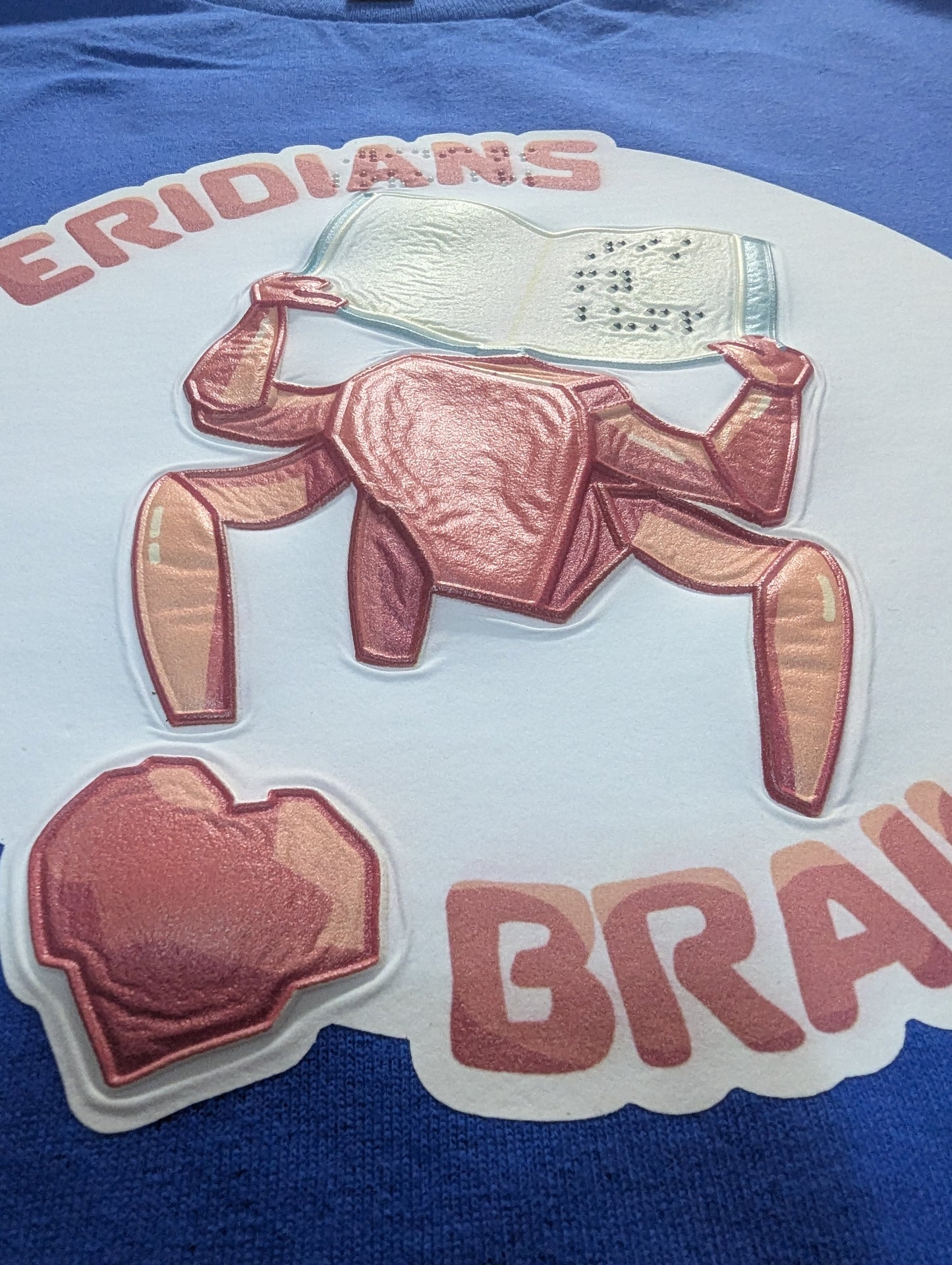 A shot of Rocky showing the texture on his body and the heart on his chest as part of the phrase "Rocky" hearts "braille" in print.