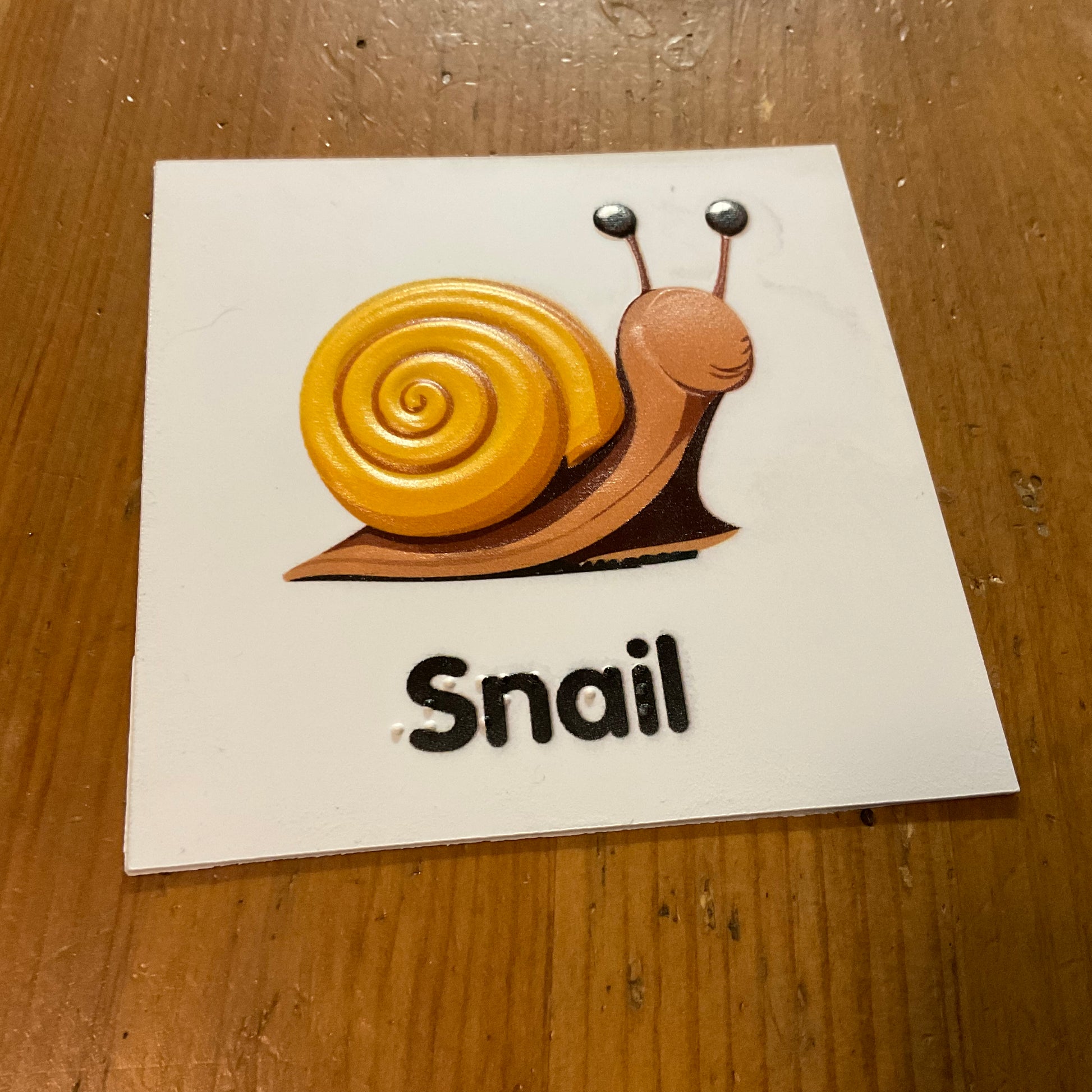 Close up on the tactile snail. It has Braille and is highly tactile.