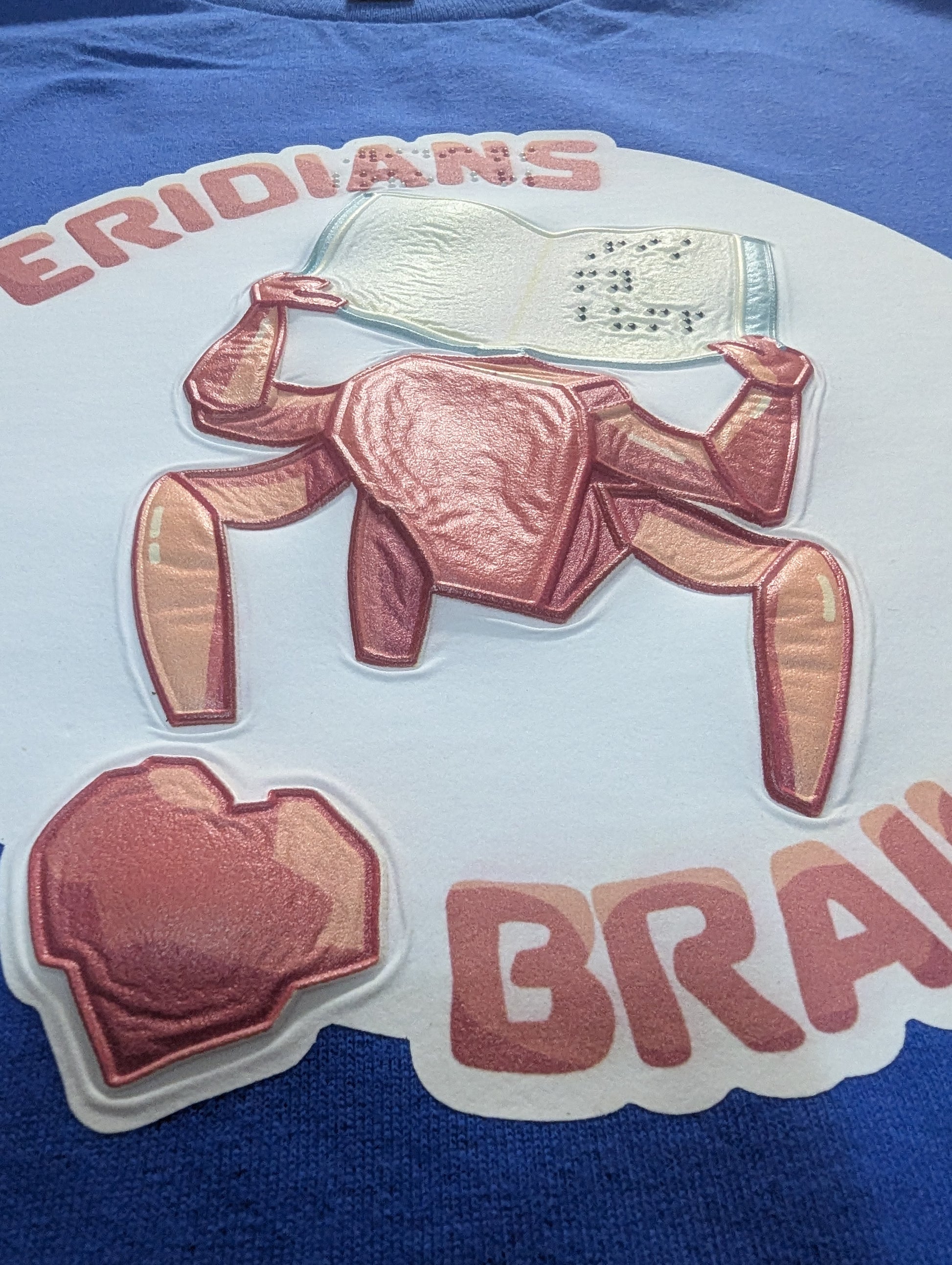 A shot of Rocky showing the texture on his body and the heart on his chest as part of the phrase "Rocky" hearts "braille" in print.