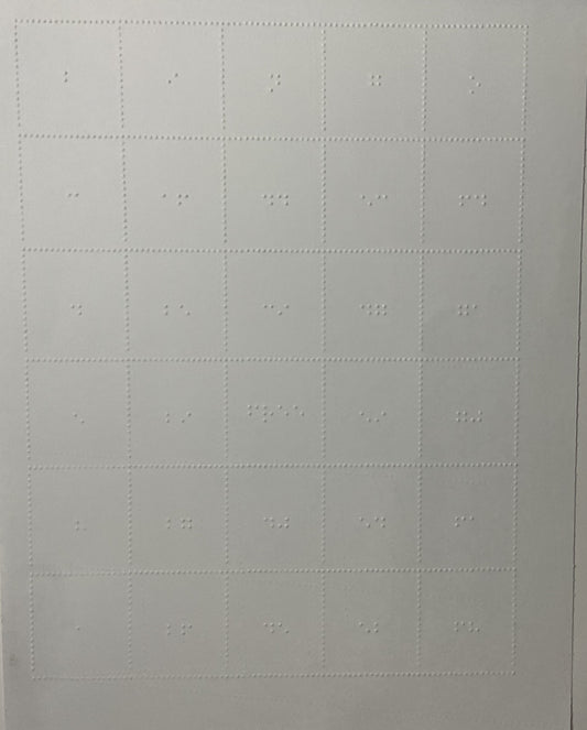The braille bingo card shown. It is embossed on a piece of card stock paper with bingo in braille at the top. Random numbers are in each row allowing many people to play with no repeating cards